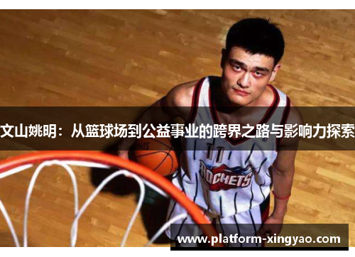 文山姚明：从篮球场到公益事业的跨界之路与影响力探索