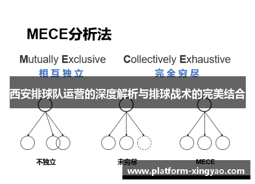 西安排球队运营的深度解析与排球战术的完美结合