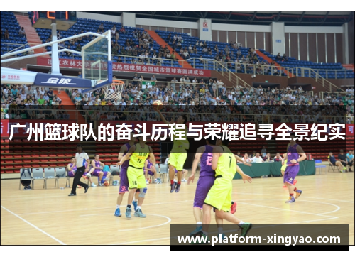 广州篮球队的奋斗历程与荣耀追寻全景纪实